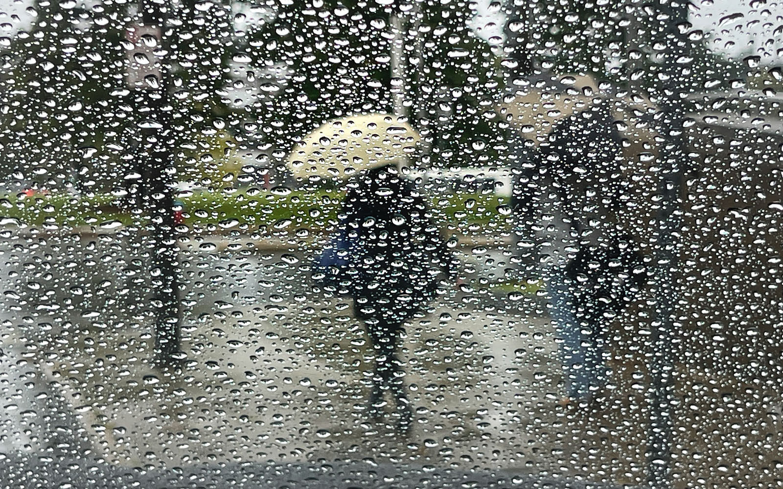 Raindrops